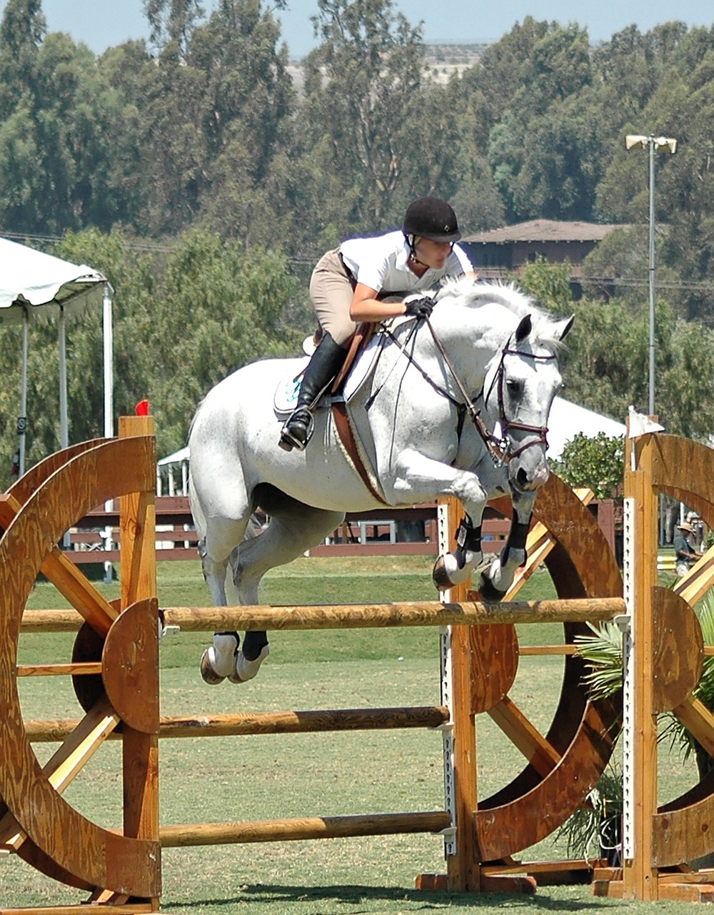 découvrez l'analyse de vos concurrents pour optimiser votre stratégie et rester en tête sur le marché.