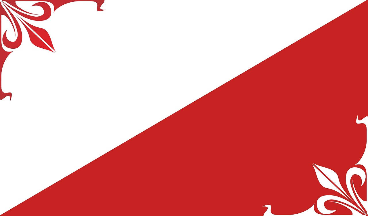 Comment un livre blanc marketing peut transformer votre stratégie en 2025