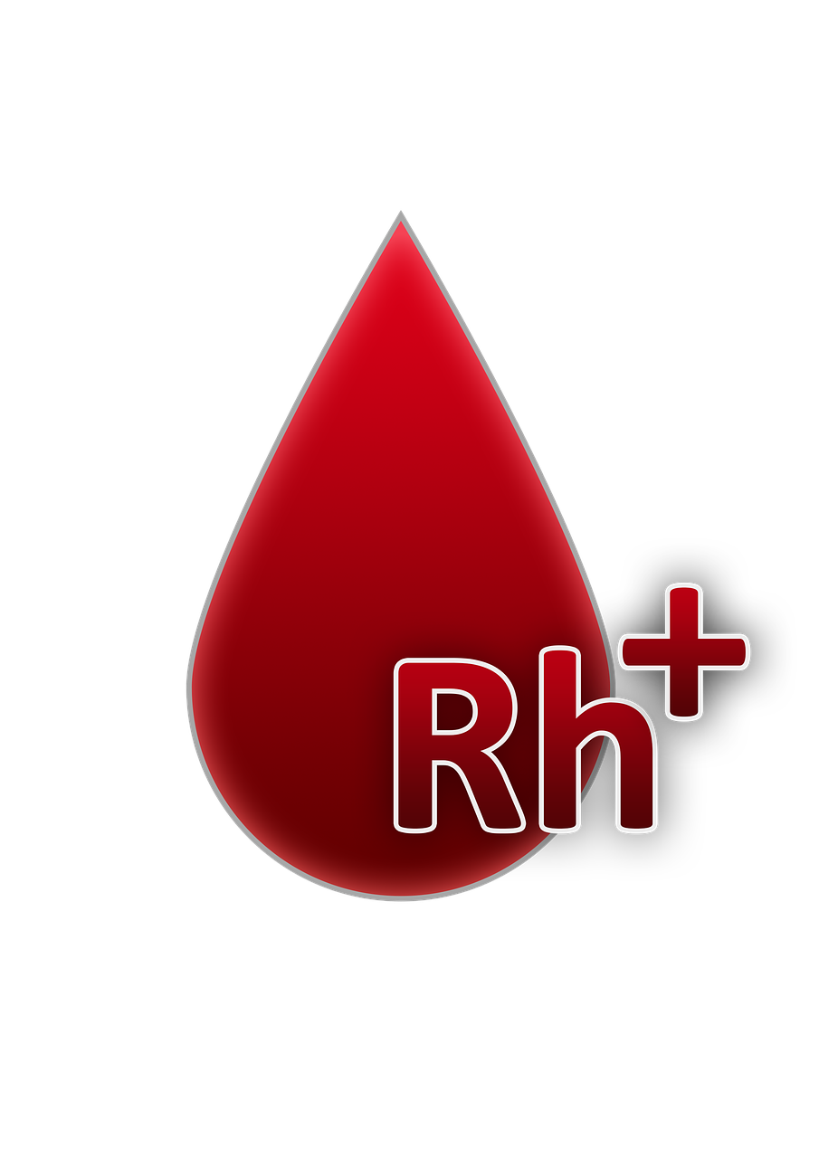 d&eacute;couvrez le factoring, une solution financi&egrave;re permettant aux entreprises d'am&eacute;liorer leur tr&eacute;sorerie en c&eacute;dant leurs cr&eacute;ances clients &agrave; un organisme sp&eacute;cialis&eacute;.